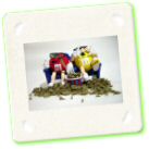Humour - Eminem Caught Smokin Weed.jpg